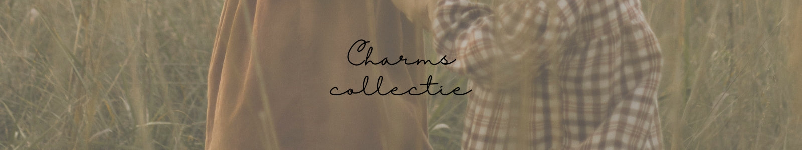 Collectie banner voor Charms collectie