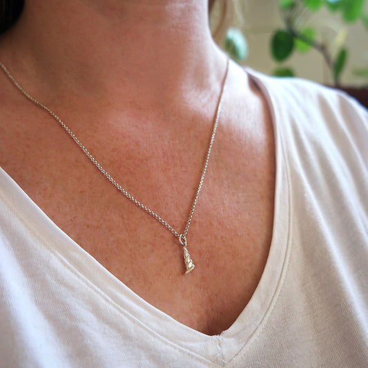 Zilveren schelp bedel aan zilveren ketting.