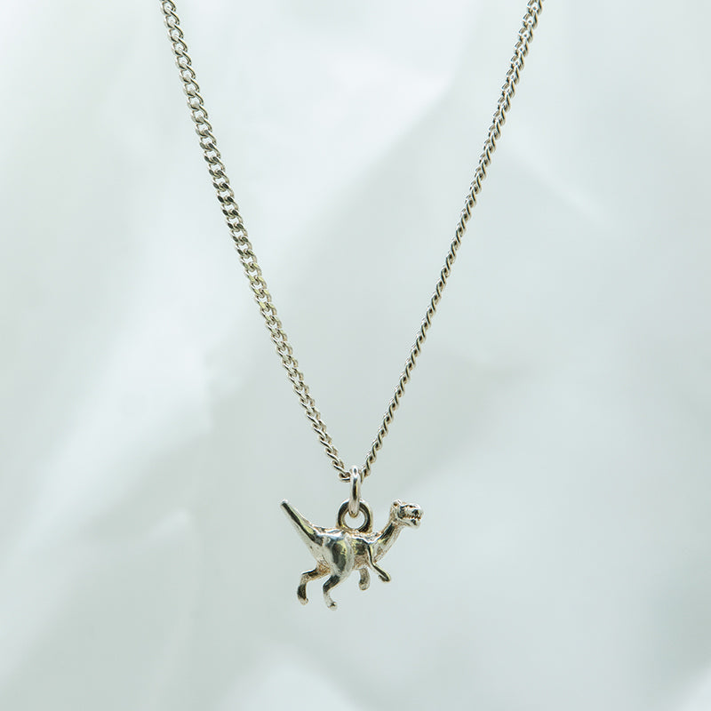 Zilveren ketting met dino bedel voor jongens.