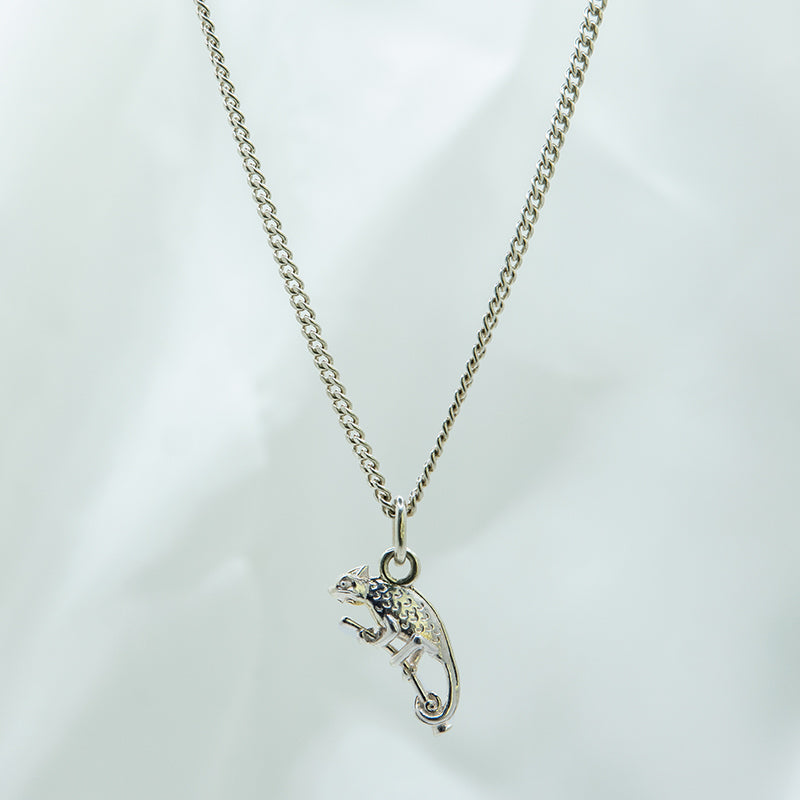 Zilveren ketting met Kameleon hanger voor jongens.