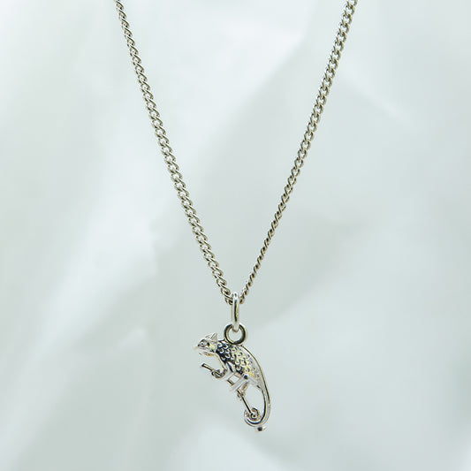 Zilveren ketting met Kameleon hanger voor jongens.